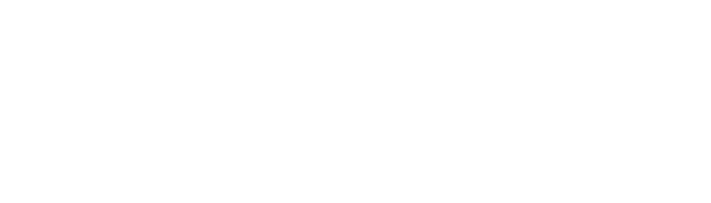 CarArtPerformance Logo